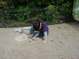 Mason - more rock collecting.JPG